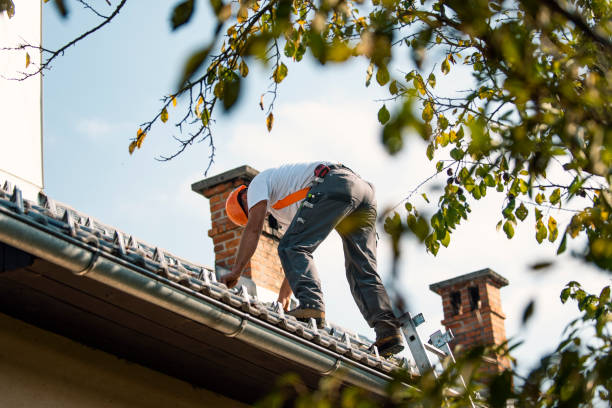 Best Roof Leak Repair  in Honsville, GA