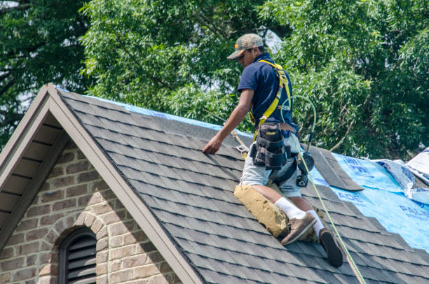 Best New Roof Installation  in Honsville, GA